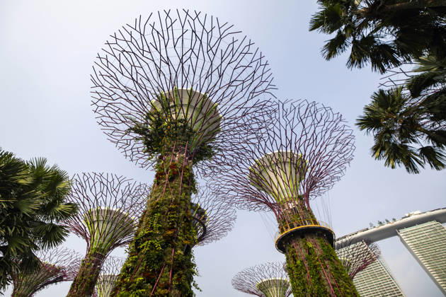 F1 - SINGAPORE GRAND PRIX 2026 Gardens by the Bay, ambiance during the 2026 Formula 1 Singapore Grand Prix, 17th round of the 2026 Formula One World Championship, WM, Weltmeisterschaft from October 9 to 11, 2026 on the Marina Bay Street Circuit, in Singapore, Singapore - SingaporeSingapore Copyright: xJulienxDelfossex