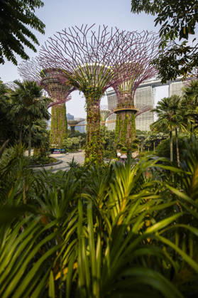 F1 - SINGAPORE GRAND PRIX 2026 Gardens by the Bay, ambiance during the 2026 Formula 1 Singapore Grand Prix, 17th round of the 2026 Formula One World Championship, WM, Weltmeisterschaft from October 9 to 11, 2026 on the Marina Bay Street Circuit, in Singapore, Singapore - SingaporeSingapore  Copyright: xJulienxDelfossex
