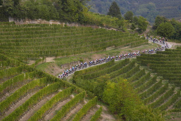 The pack rides during the 110th edition of the Gran Piemonte 2026 a 185 km one day race from Asti to Bra on October 08, 2026, Italy. Copyright: xFabioxFerrari LaPressex