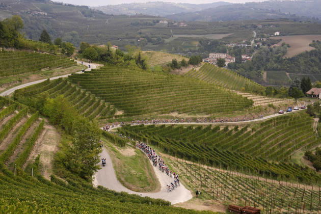 The pack rides during the 110th edition of the Gran Piemonte 2026 a 185 km one day race from Asti to Bra on October 08, 2026, Italy. Copyright: xFabioxFerrari LaPressex