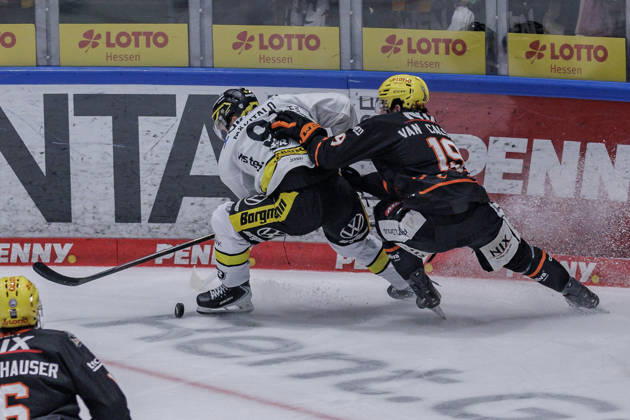 PEnny DEL: Löwen Frankfurt - Krefeld Pinguine, 08.10.2026 Roope Mäkitalo (Krefeld Pinguine 91) und Robin Van Calster (Löwen Frankfurt 19) kämpfen u mden Puck, Löwen Frankfurt - Krefeld Pinguine, Frankfurt, NIX Eissporthalle, 8.10.2026 Copyright: xBEAUTIFULxSPORTS Gawlikx