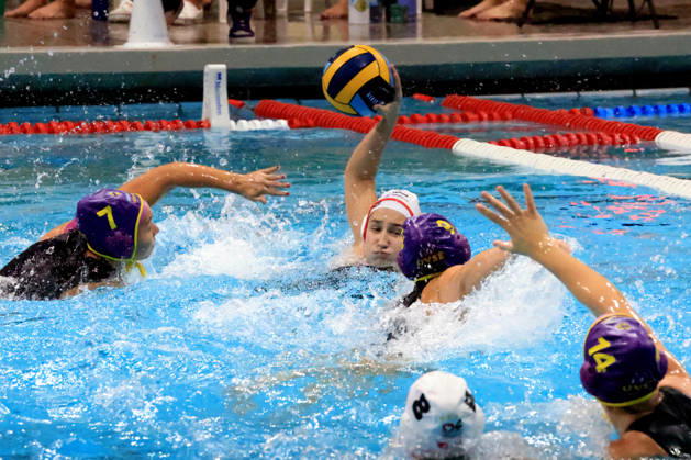 09.10.2026, GER, DEU, Deutschland Wasserball Frauen ,Wasserbal Champion League Qualifikation, Saison 2026, Berlin, Spandau 04 vs. UVSE Elena Ludwig ( Spandau04 9 ), Vanda Laura Baksa ( UVSE 7 ), Flora Fekete ( UVSE 9 ) nordphoto GmbH Engler Berlin Schwimmhalle-Schoeneberg Berlin Deutschland Copyright: xNordphotox xEnglerx
