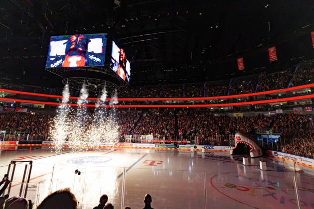 COLONGE, GERMANY - 9 OCTOBER 2026: Image shows pregame show of Kölner Haie in LANXESS arena during PENNY DEL 2026 27 Regular Season, Matchday 7: Kölner Haie vs Schwenninger Wild Wings at LANXESS arena on 9 10 2026 in Colonge, Germany. Germany Copyright: xFröhlichxPascalx