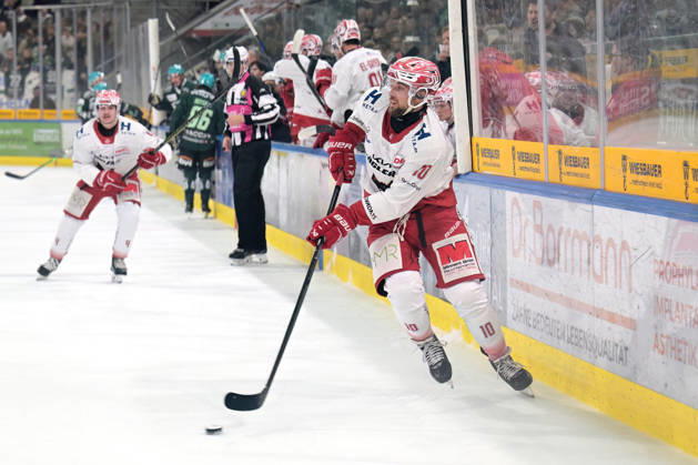 Julian Kornelli (EC Bad Nauheim, 10) am Puck Bietigheim Steelers vs. EC Bad Nauheim , Eishockey, DEL 2, 07.Hauptrundenspiel, Saison 2026 2027, 09.10.2026 Bietigheim Steelers vs. EC Bad Nauheim , Eishockey, DEL 2, 07.Hauptrundenspiel, Saison 2026 2027, 09.10.2026 Bietigheim Copyright: xEibner-Pressefotox EP_TBR