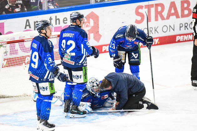 Straubing Tigers vs. Iserlohn Roosters, Eishockey, Deutsche Eishockey Liga, Penny DEL, 7.Spieltag, Saison 2026 2027, 09.10.2026 Florian Bugl (Straubing Tigers) bleibt verletzt am Boden liegen, Eishockey Herren, Deutsche Eishockey Liga, Penny DEL, 5.Spieltag, Saison 2026 2027 am 09.10.2026 im Eisstadion am Pulverturm, Straubing Tigers (blau) gegen Iserlohn Roosters (weiss)