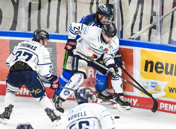 Straubing Tigers vs. Iserlohn Roosters, Eishockey, Deutsche Eishockey Liga, Penny DEL, 7.Spieltag, Saison 2026 2027, 09.10.2026 Nicholas Halloran (Straubing Tigers) an der Bande mit Justin Scott (Iserlohn Roosters), Eishockey Herren, Deutsche Eishockey Liga, Penny DEL, 5.Spieltag, Saison 2026 2027 am 09.10.2026 im Eisstadion am Pulverturm, Straubing Tigers (blau) gegen Iserlohn Roosters (weiss)