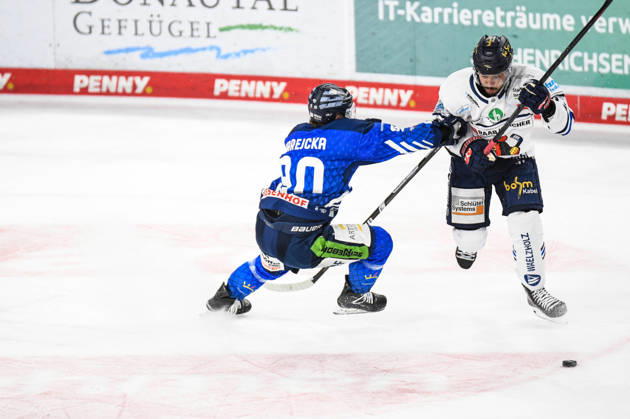 Straubing Tigers vs. Iserlohn Roosters, Eishockey, Deutsche Eishockey Liga, Penny DEL, 7.Spieltag, Saison 2026 2027, 09.10.2026 Filip Varejcka (Straubing Tigers) im Zweikampf mit Colin Ugbekile (Iserlohn Roosters), Eishockey Herren, Deutsche Eishockey Liga, Penny DEL, 5.Spieltag, Saison 2026 2027 am 09.10.2026 im Eisstadion am Pulverturm, Straubing Tigers (blau) gegen Iserlohn Roosters (weiss)