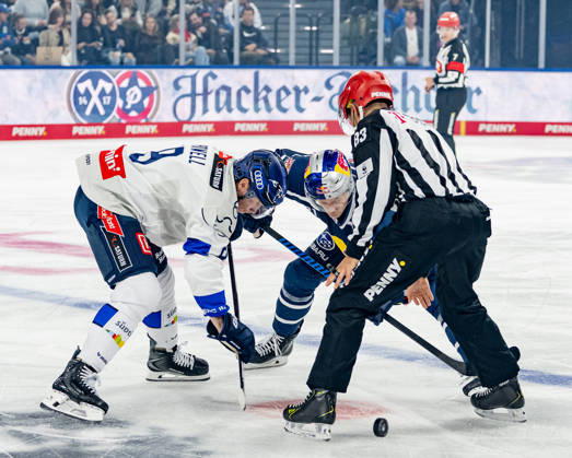 Linesperson David Tschirner fuehrt ein Bully Faceoff aus zwischen Myles Powell (ERC Ingolstadt, 09) und Dominik Kahun (EHC Red Bull Muenchen, 21) GER, EHC Red Bull Muenchen vs. ERC Ingolstadt, DEL, Saison 2026 2027, 7. Spieltag, 09.10.2026. Foto: HMB Media Franz Feiner Copyright: HMBxMedia FranzxFeiner