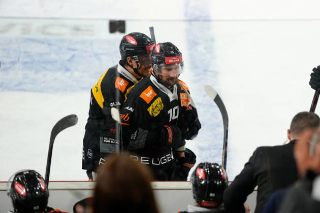 3014 Bern BE, Switzerland - October 09: Tristan Scherwey (10 SCB) celebrates his goal with Marc Marchon (8 SCB) during the National League match between SC Bern and EHC Biel-Bienne at PostFinance Arena on October 09, 2026 in 3014 Bern BE, Switzerland. Copyright: xKjetilxWaberx xSPPx Sportspressphoto_SPR249738