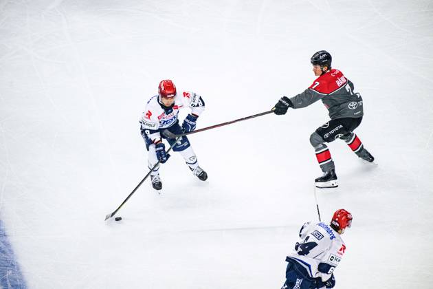 COLOGNE, GERMANY - 9 OCTOBER, 2026: - The PENNY DEL Ice hockey, Eishockey match Koelner Haie vs. Schwenninger Wild Wings at LANXESS arena.  Copyright: xVitaliixKliuievx