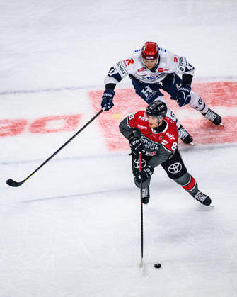 COLOGNE, GERMANY - 9 OCTOBER, 2026: - The PENNY DEL Ice hockey, Eishockey match Koelner Haie vs. Schwenninger Wild Wings at LANXESS arena.  Copyright: xVitaliixKliuievx