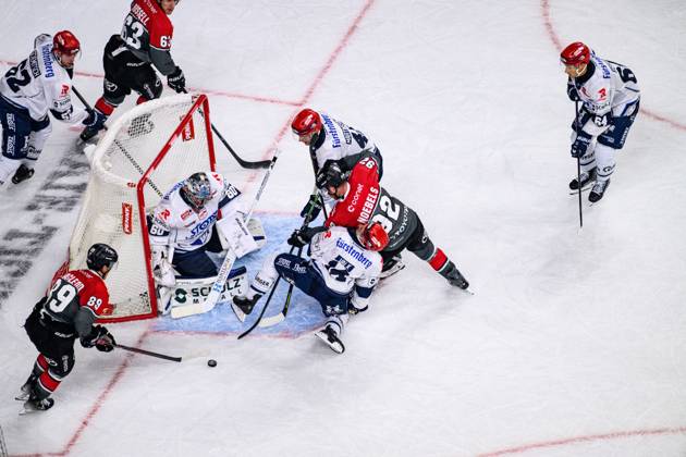COLOGNE, GERMANY - 9 OCTOBER, 2026: - The PENNY DEL Ice hockey, Eishockey match Koelner Haie vs. Schwenninger Wild Wings at LANXESS arena.  Copyright: xVitaliixKliuievx