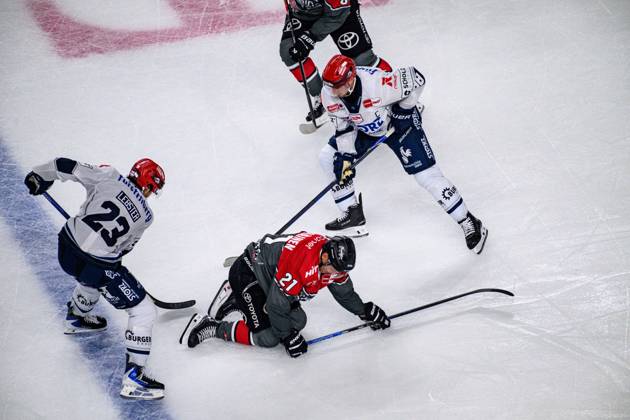 COLOGNE, GERMANY - 9 OCTOBER, 2026: - The PENNY DEL Ice hockey, Eishockey match Koelner Haie vs. Schwenninger Wild Wings at LANXESS arena.  Copyright: xVitaliixKliuievx