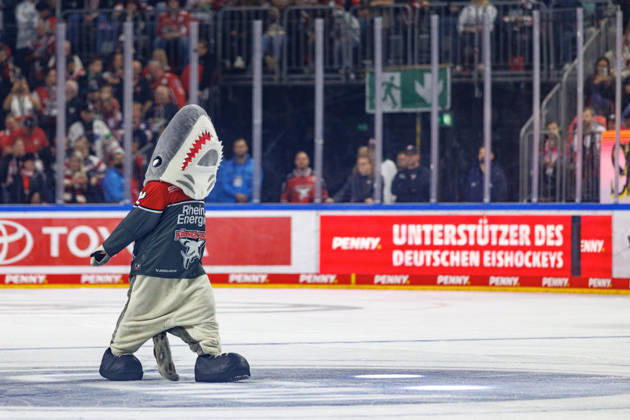 COLONGE, GERMANY - 9 OCTOBER 2026: Image shows mascot of Kölner Haie during PENNY DEL 2026 27 Regular Season, Matchday 7: Kölner Haie vs Schwenninger Wild Wings at LANXESS arena on 9 10 2026 in Colonge, Germany. Germany Copyright: xFröhlichxPascalx