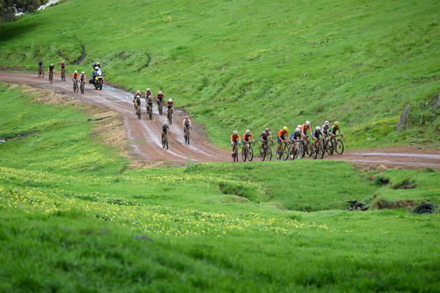 2026 UCI Gravel World Championships Picture by Zac Williams SWpix.com - 10 10 2026 - Cycling - 2026 UCI Gravel World Championships - Nannup, Western Australia, Australia - Women™s Elite - The peloton Copyright: x xSWpix.comx(t axPhotographyxHubxLtd)xZacxWilliams SWpix.comx SWP-3030-24057