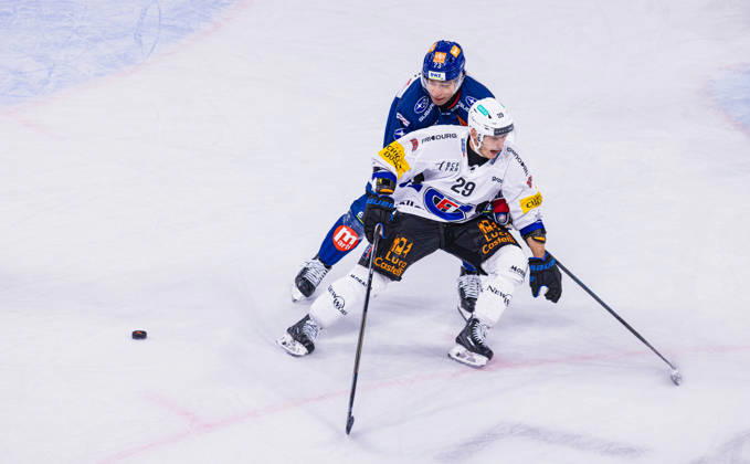 Ice hockey, Eishockey National League Regular Season - ZSC Lions vs HC Frib Zurich, Switzerland, 10th Oct 2026: 73 Kimo Gruber (ZSC Lions) manages to knock the puck away from 29 Anthony Richard (Fribourg). Copyright: xAndreasxHaasx