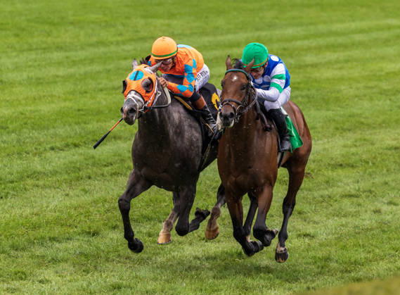 October 10, 2026, Lexington, Ky, USA: Merlin Monroan (6) ridden by Tyler Gaffalione wins an allowance on QEII GI Day on October 10, 2026. Candice Chavez Eclipse Sportswire CSM HORSE RACING 2026: QEII GI Day Keeneland OCT 10  - ZUMAcs17 20261010_faf_cs17_011 Copyright: x {Serialx