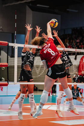 Im Bild: Angriff durch Eleanor Holthaus (8, MTV Stuttgart) 10.10.2026, Dresdner SC - Allianz MTV Stuttgart, DEKRA 1. Bundesliga Frauen, Volleyball, Deutschland, Dresden, Cyberport Arena Copyright: HMBxMedia xEtiennexSchlick