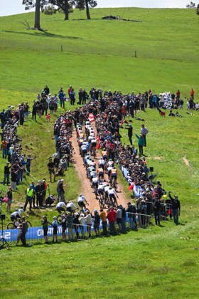 2026 UCI Gravel World Championships Picture by Zac Williams SWpix.com - 11 10 2026 - Cycling - 2026 UCI Gravel World Championships - Nannup, Western Australia, Australia - Men™s Elite - The peloton Copyright: x xSWpix.comx(t axPhotographyxHubxLtd)xZacxWilliams SWpix.comx SWP-3030-24538