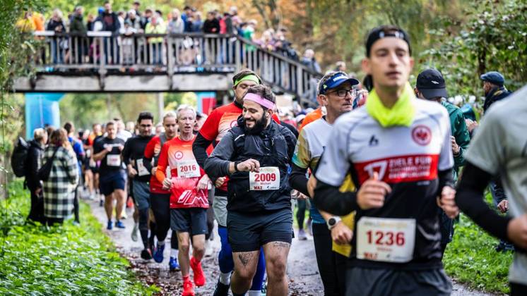Marathon am Baldeneysee in Essen ** NUR FÜR REDAKTIONELLE ZWECKE ** EDITORIAL USE ONLY **<p>Rund 1800 Läufer begeben sich am Sonntagmorgen, 11.10.2026, im Rahmenprogramm des Mararthons am Baldeneysee auf eine gut 18 Kilometer lange Seerunde. Deutschland NRW Essen Copyright: MartinxMöller