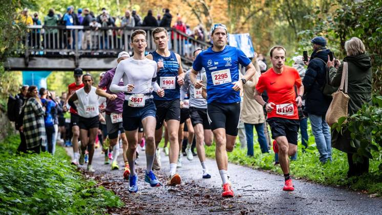 Marathon am Baldeneysee in Essen ** NUR FÜR REDAKTIONELLE ZWECKE ** EDITORIAL USE ONLY **<p>Rund 1800 Läufer begeben sich am Sonntagmorgen, 11.10.2026, im Rahmenprogramm des Mararthons am Baldeneysee auf eine gut 18 Kilometer lange Seerunde. Deutschland NRW Essen Copyright: MartinxMöller