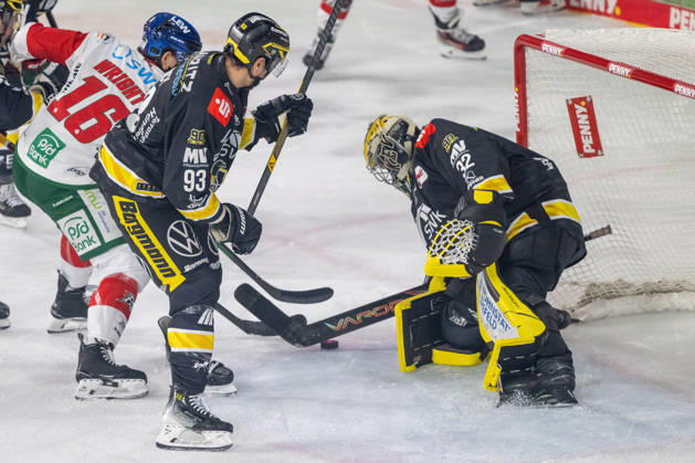 Zweikampf zwischen Cameron Wright (Augsburger Panther, 16) und Stuart Percy (Krefeld Pinguine, 93). Krefeld Pinguine vs. Augsburger Panther, Eishockey, Penny DEL, 08. Spieltag, Saison 2026 2027, 11.10.2026 Krefeld Pinguine vs. Augsburger Panther, Eishockey, Penny DEL, 08. Spieltag, Saison 2026 2027, 11.10.2026 Krefeld Copyright: xEibner-Pressefoto ThomasxHaeslerx EP_THR