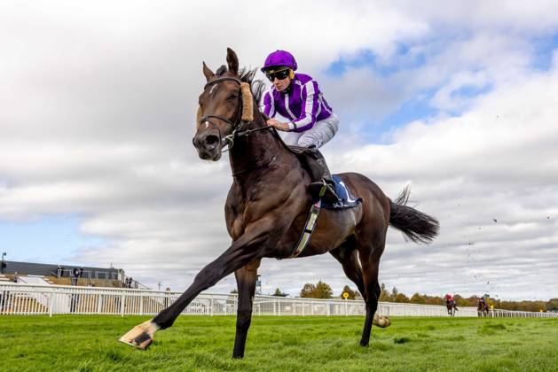 REPRO FREE *PRESS RELEASE NO REPRODUCTION FEE* EDITORIAL USE ONLY October Weekend Meeting 2026, Naas Racecourse, Kildare 11 10 2026 Ryan Moore on Bengal Tiger wins The Tifrums Irish EBF (C & G) Maiden Ryan Moore on Bengal Tiger 11 10 2026  Copyright: xx 2V7A3858