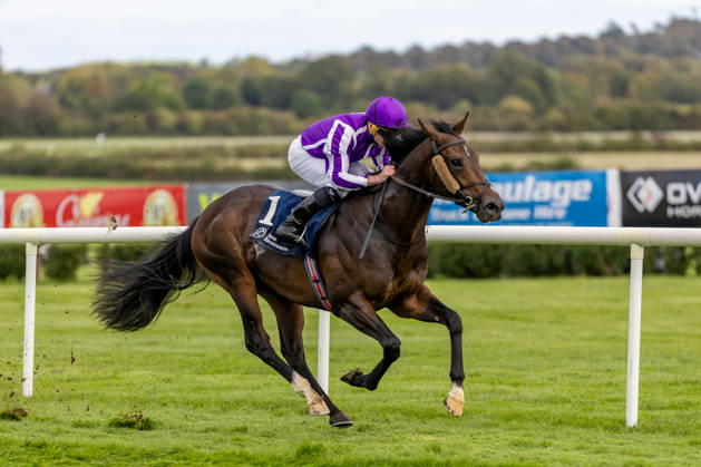 REPRO FREE *PRESS RELEASE NO REPRODUCTION FEE* EDITORIAL USE ONLY October Weekend Meeting 2026, Naas Racecourse, Kildare 11 10 2026 Ryan Moore on Bengal Tiger wins The Tifrums Irish EBF (C & G) Maiden Ryan Moore on Bengal Tiger 11 10 2026  Copyright: xx MT2_3573