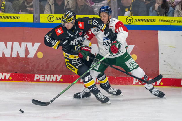 Zweikampf zwischen Philip Gogulla (Krefeld Pinguine, 87) und Cameron Wright (Augsburger Panther, 16). Krefeld Pinguine vs. Augsburger Panther, Eishockey, Penny DEL, 08. Spieltag, Saison 2026 2027, 11.10.2026 Krefeld Pinguine vs. Augsburger Panther, Eishockey, Penny DEL, 08. Spieltag, Saison 2026 2027, 11.10.2026 Krefeld Copyright: xEibner-Pressefoto ThomasxHaeslerx EP_THR