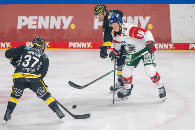 Zweikampf zwischen Max Newton (Krefeld Pinguine, 37), Cameron Wright (Augsburger Panther, 16) und Philip Gogulla (Krefeld Pinguine, 87). Krefeld Pinguine vs. Augsburger Panther, Eishockey, Penny DEL, 08. Spieltag, Saison 2026 2027, 11.10.2026 Krefeld Pinguine vs. Augsburger Panther, Eishockey, Penny DEL, 08. Spieltag, Saison 2026 2027, 11.10.2026 Krefeld Copyright: xEibner-Pressefoto ThomasxHaeslerx EP_THR