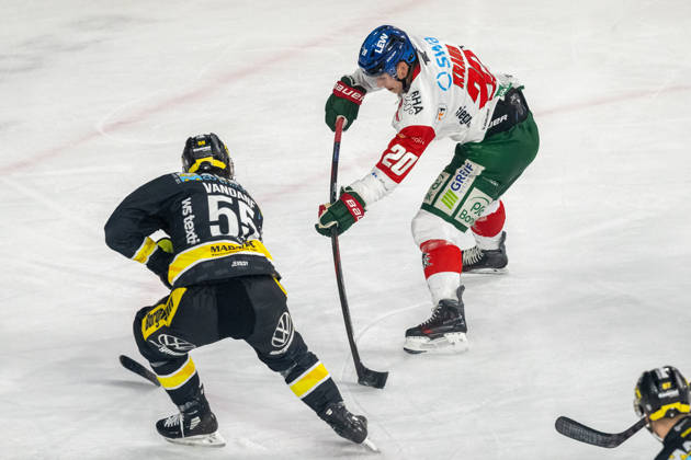 Zweikampf zwischen Davis Vandane (Krefeld Pinguine, 55) und Philipp Krauss (Augsburger Panther, 20). Krefeld Pinguine vs. Augsburger Panther, Eishockey, Penny DEL, 08. Spieltag, Saison 2026 2027, 11.10.2026 Krefeld Pinguine vs. Augsburger Panther, Eishockey, Penny DEL, 08. Spieltag, Saison 2026 2027, 11.10.2026 Krefeld Copyright: xEibner-Pressefoto ThomasxHaeslerx EP_THR