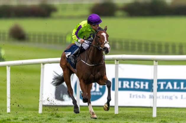 REPRO FREE *PRESS RELEASE NO REPRODUCTION FEE* EDITORIAL USE ONLY October Weekend Meeting 2026, Naas Racecourse, Kildare 11 10 2026 Shane Foley on Diamonds and Dames wins The Irish EBF Auction Series Race Final Shane Foley on Diamonds and Dames 11 10 2026  Copyright: xx 0U6A3613