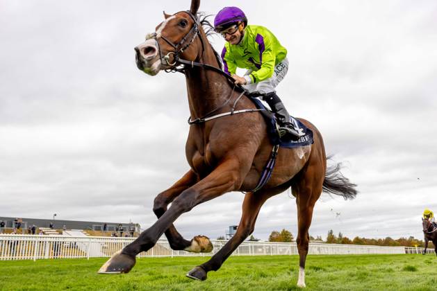 REPRO FREE *PRESS RELEASE NO REPRODUCTION FEE* EDITORIAL USE ONLY October Weekend Meeting 2026, Naas Racecourse, Kildare 11 10 2026 Shane Foley on Diamonds and Dames wins The Irish EBF Auction Series Race Final Shane Foley on Diamonds and Dames 11 10 2026  Copyright: xx 2V7A3903
