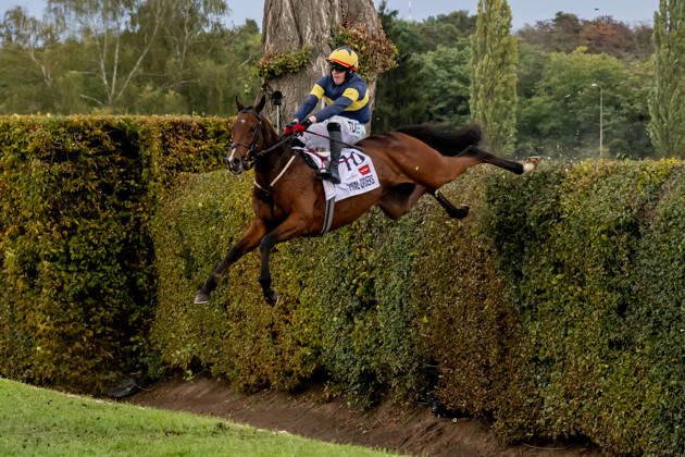 Sport Bilder des Tages The 136th Grand Pardubice Steeplechase (6,900m), in Pardubice, Czech Republic, on October 11, 2026. Keith Michael Donoghue on Final Orders at the Taxis Ditch. (CTKxPhoto DavidxTanecek) CTKPhotoP2026101104534  CTKPhotoP2026101104534