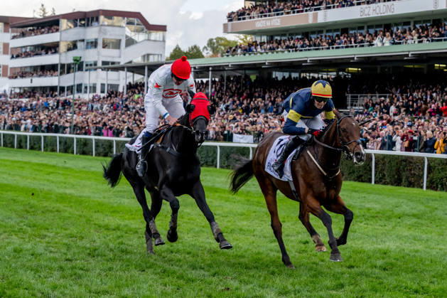 The 136th Grand Pardubice Steeplechase (6,900m), in Pardubice, Czech Republic, on October 11, 2026. From left: Jan Faltejsek on Godfrey and Keith Michael Donoghue on Final Orders. (CTKxPhoto DavidxTanecek) CTKPhotoP2026101104586  CTKPhotoP2026101104586