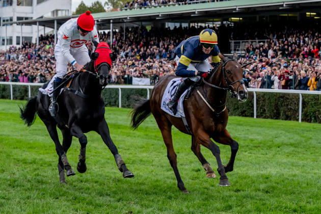 The 136th Grand Pardubice Steeplechase (6,900m), in Pardubice, Czech Republic, on October 11, 2026. From left: Jan Faltejsek on Godfrey and Keith Michael Donoghue on Final Orders. (CTKxPhoto DavidxTanecek) CTKPhotoP2026101104686  CTKPhotoP2026101104686