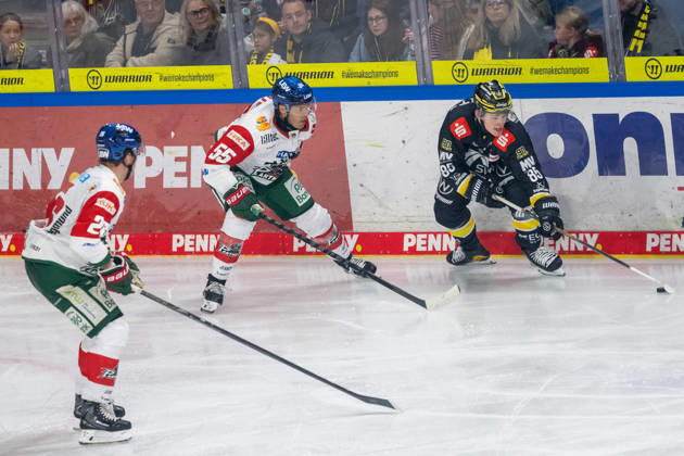 Zweikampf zwischen Ryan Button (Augsburger Panther, 55) und Luca Hauf (Krefeld Pinguine, 85). Krefeld Pinguine vs. Augsburger Panther, Eishockey, Penny DEL, 08. Spieltag, Saison 2026 2027, 11.10.2026 Krefeld Pinguine vs. Augsburger Panther, Eishockey, Penny DEL, 08. Spieltag, Saison 2026 2027, 11.10.2026 Krefeld Copyright: xEibner-Pressefoto ThomasxHaeslerx EP_THR