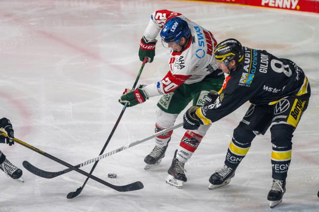 Zweikampf zwischen Philipp Krauss (Augsburger Panther, 20) und Max Gildon (Krefeld Pinguine, 08). Krefeld Pinguine vs. Augsburger Panther, Eishockey, Penny DEL, 08. Spieltag, Saison 2026 2027, 11.10.2026 Krefeld Pinguine vs. Augsburger Panther, Eishockey, Penny DEL, 08. Spieltag, Saison 2026 2027, 11.10.2026 Krefeld Copyright: xEibner-Pressefoto ThomasxHaeslerx EP_THR