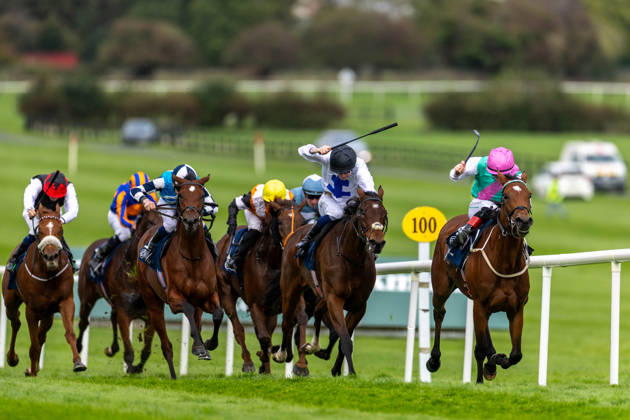 REPRO FREE *PRESS RELEASE NO REPRODUCTION FEE* EDITORIAL USE ONLY October Weekend Meeting 2026, Naas Racecourse, Kildare 11 10 2026 Joey Sheridan on Princess Child, nearside, gets the better of Colin Keane on Faiyum to win The Irish Stallion Farms EBF Garnet Stakes (Listed) Joey Sheridan on Princess Child, nearside, gets the better of Colin Keane on Faiyum 11 10 2026  Copyright: xx 0U6A3634