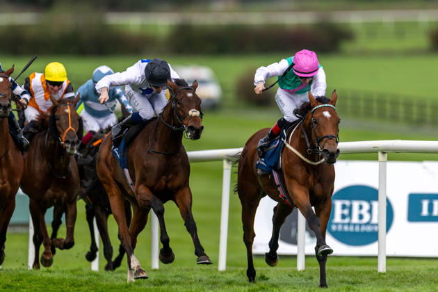 REPRO FREE *PRESS RELEASE NO REPRODUCTION FEE* EDITORIAL USE ONLY October Weekend Meeting 2026, Naas Racecourse, Kildare 11 10 2026 Joey Sheridan on Princess Child, nearside, gets the better of Colin Keane on Faiyum to win The Irish Stallion Farms EBF Garnet Stakes (Listed) Joey Sheridan on Princess Child, nearside, gets the better of Colin Keane on Faiyum 11 10 2026  Copyright: xx 0U6A3643