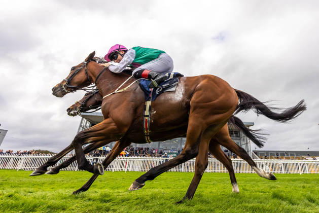 REPRO FREE *PRESS RELEASE NO REPRODUCTION FEE* EDITORIAL USE ONLY October Weekend Meeting 2026, Naas Racecourse, Kildare 11 10 2026 Joey Sheridan on Princess Child, farside, gets the better of Colin Keane on Faiyum in a photo finish to the The Irish Stallion Farms EBF Garnet Stakes (Listed) Joey Sheridan on Princess Child, farside, gets the better of Colin Keane on Faiyum 11 10 2026  Copyright: xx 2V7A3963