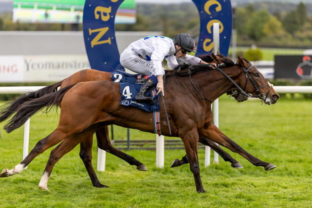 REPRO FREE *PRESS RELEASE NO REPRODUCTION FEE* EDITORIAL USE ONLY October Weekend Meeting 2026, Naas Racecourse, Kildare 11 10 2026 Joey Sheridan on Princess Child, nearside, gets the better of Colin Keane on Faiyum to win The Irish Stallion Farms EBF Garnet Stakes (Listed) Joey Sheridan on Princess Child, nearside, gets the better of Colin Keane on Faiyum 11 10 2026  Copyright: xx MT2_3721