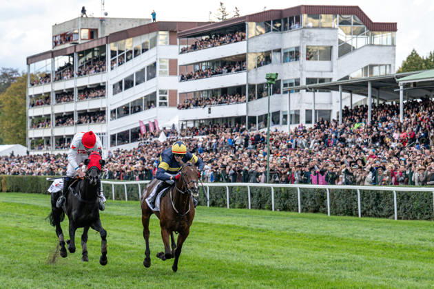 The 136th Grand Pardubice Steeplechase (6,900m), in Pardubice, Czech Republic, on October 11, 2026. From left: Jan Faltejsek on Godfrey and Keith Michael Donoghue on Final Orders. (CTKxPhoto DavidxTanecek) CTKPhotoP2026101105153  CTKPhotoP2026101105153