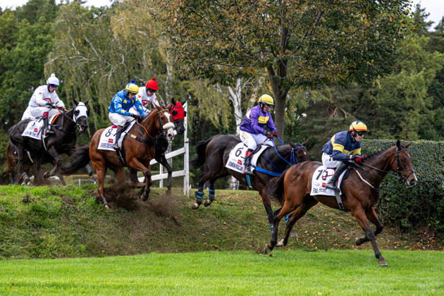 The 136th Grand Pardubice Steeplechase (6,900m), in Pardubice, Czech Republic, on October 11, 2026. From left: Jan Faltejsek on Godfrey, James Best on Greek Dessert, Jan Odlozil on Angkor Wat, Marcel Novak on Dumon Roclay, and Keith Michael Donoghue on Final Orders. (CTKxPhoto DavidxTanecek) CTKPhotoP2026101105165  CTKPhotoP2026101105165