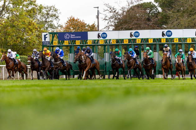 REPRO FREE *PRESS RELEASE NO REPRODUCTION FEE* EDITORIAL USE ONLY October Weekend Meeting 2026, Naas Racecourse, Kildare 11 10 2026 The horses and riders break from the stalls in The Irish Stallion Farms EBF Bluebell Stakes (Listed) The horses and riders break from the stalls 11 10 2026  Copyright: xx MT2_3757