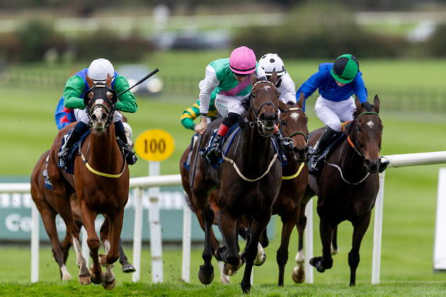 REPRO FREE *PRESS RELEASE NO REPRODUCTION FEE* EDITORIAL USE ONLY October Weekend Meeting 2026, Naas Racecourse, Kildare 11 10 2026 Colin Keane on Abbotsford wins The Colm White Bookmaker Beggar s End Handicap Colin Keane on Abbotsford 11 10 2026  Copyright: xx 0U6A3709