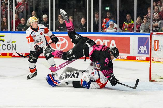 Eishockey Penny-DEL 8.Spieltag Kölner Haie - Nürnberg Ice Tigers am 11.10.2026 in der Lanxess Arena in Köln Patrick Russell ( Köln ), mitte - kollidiert mit Torwart Niklas Treutle ( Nürnberg ) Gemäß den Vorgaben der DEL Deutsche Eishockey Liga ist die Publikation und Weiterverwertung der Aufnahmen in elektronischen Medien und Endgeräten aller Art während des laufenden Spiels nicht zulässig.