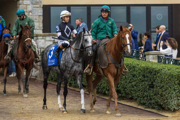 HORSE RACING 2026: Franklin Stakes Day Keeneland OCT 11 October 11, 2026, USA: Time to Dazzle (3) ridden by Irad Ortiz Jr. wins the Franklin Stakes at Keeneland Race Course in Lexington, Kentucky on October 11, 2026. Casey Laughter Eclipse Sportswire CSM(Credit Image: Â Casey Laughter Cal Media) USA EDITORIAL USE ONLY Copyright: xx ZUMA-20261011_faf_cs17_006.jpg CaseyxLaughterx csmphotothree533543