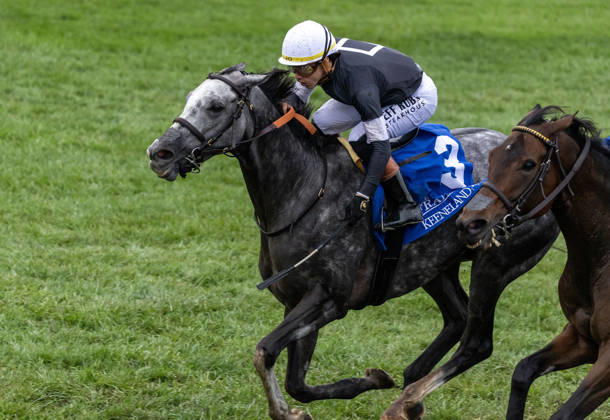 October 11, 2026, Lexington, Ky, USA: Time to Dazzle (3) ridden by Irad Ortiz Jr wins the Franklin Stakes Day on October 11, 2026. Candice Chavez Eclipse Sportswire CSM HORSE RACING 2026: Franklin Stakes Day Keeneland OCT 11  - ZUMAcs17 20261011_faf_cs17_012 Copyright: x {Serialx