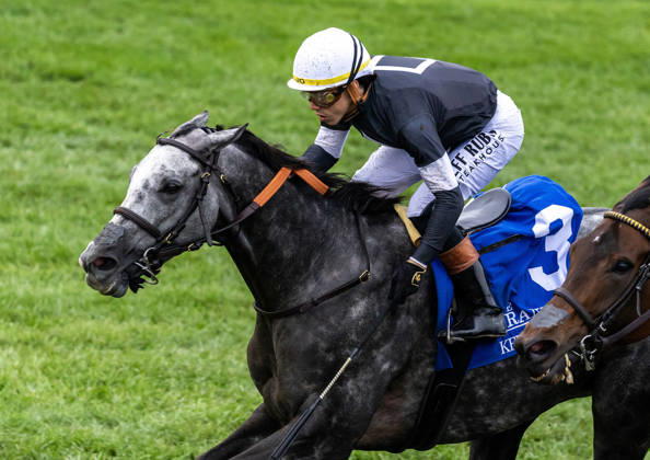 October 11, 2026, Lexington, Ky, USA: Time to Dazzle (3) ridden by Irad Ortiz Jr wins the Franklin Stakes Day on October 11, 2026. Candice Chavez Eclipse Sportswire CSM Lexington USA - ZUMAcs17 20261011_faf_cs17_009 Copyright: x {Serialx